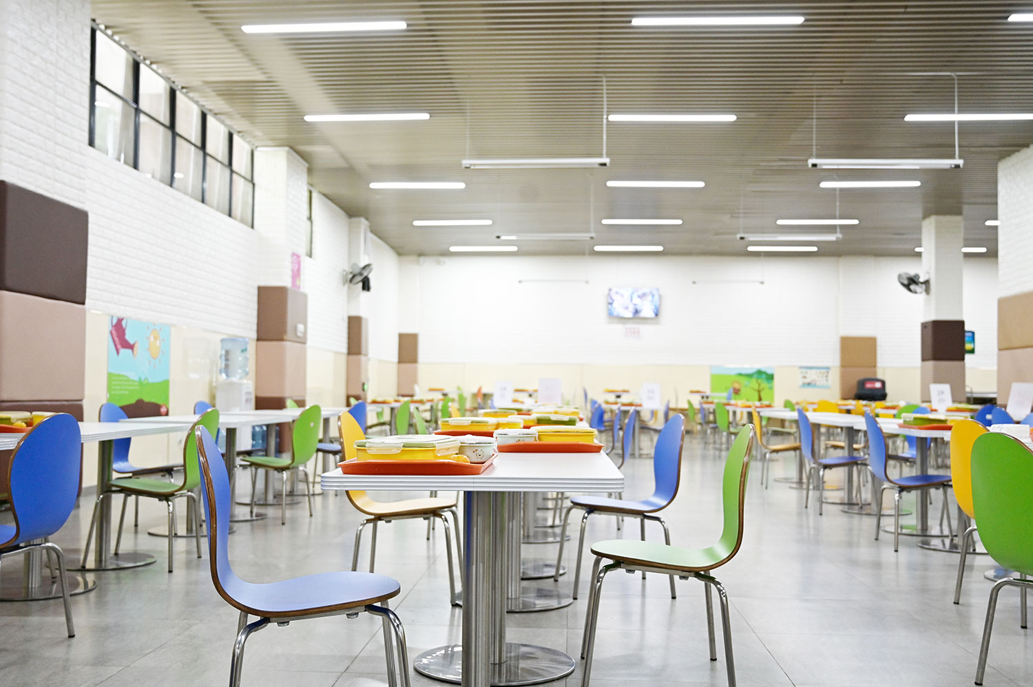 School Introduction